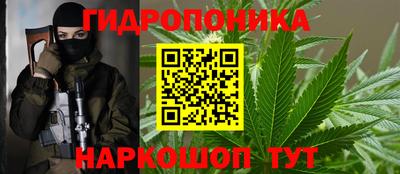 шишки Туймазы
