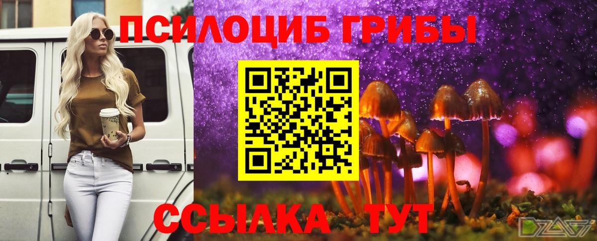 Ленинск-Кузнецкий  Галлюциногенные грибы Cubensis  Галлюциногенные грибы прущие грибы  Вход с VPN 